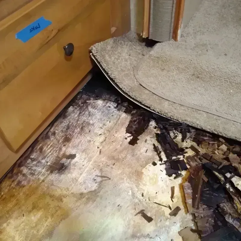 Wood Floor Water Damage in North Potomac, MD